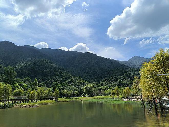 魏岳嵩书画价格的艺术魅力与市场动态